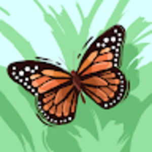 Meet your Posher, Rowan